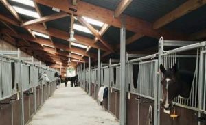 construction de boxes pour chevaux à fameck en Moselle